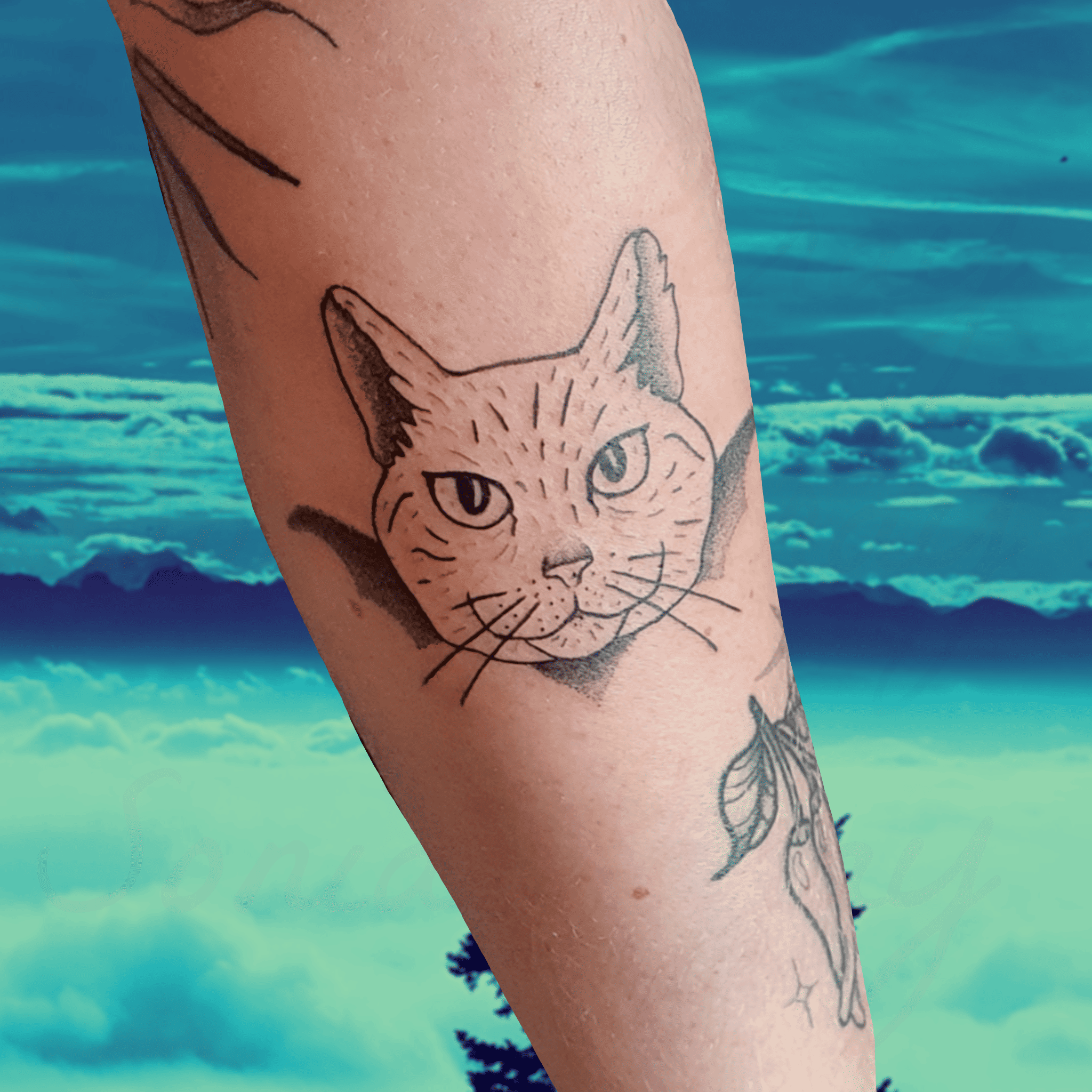 Photo tatouage d'un chat vampire